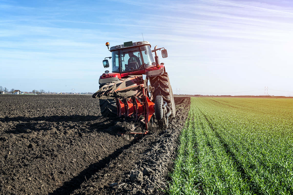Los recortes de García-Page a la agricultura ecológica provocan la pérdida de 26.283 hectáreas